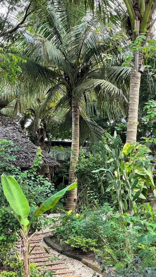 Atii Garden Bungalows นูงวี ภายนอก รูปภาพ